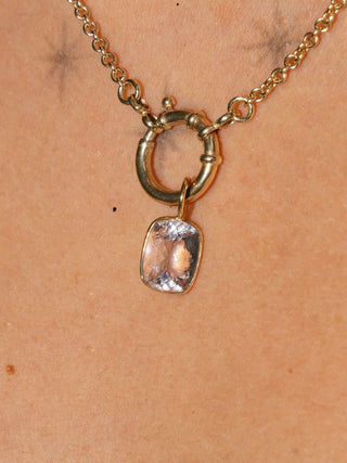 Leslie Morganite Cushion Cut Charm in Yellow 14k Gold