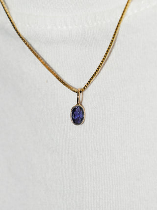 Passion Flower Iolite Oval Cut Charm in Yellow 14k Gold