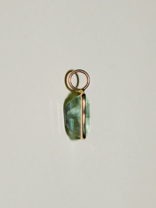 Elixir Fluorite Emerald Cut Charm in Yellow 14k Gold