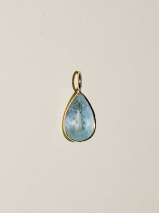 Dogs Aquamarine Teardrop Cut Charm in Yellow 14k Gold