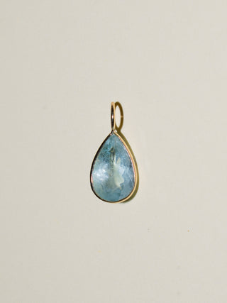 Dogs Aquamarine Teardrop Cut Charm in Yellow 14k Gold