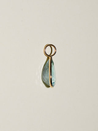 Dogs Aquamarine Teardrop Cut Charm in Yellow 14k Gold