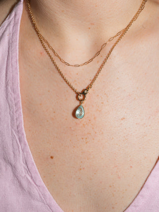 Dogs Aquamarine Teardrop Cut Charm in Yellow 14k Gold