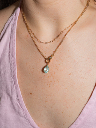 Dogs Aquamarine Teardrop Cut Charm in Yellow 14k Gold