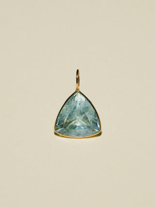Snorkelfest Aquamarine Trillion Cut Charm in Yellow 14k Gold