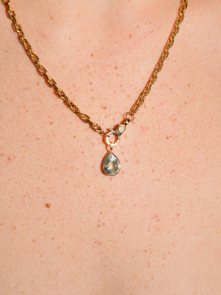 Fishy Aquamarine Teardrop Cut Charm in Yellow 14k Gold