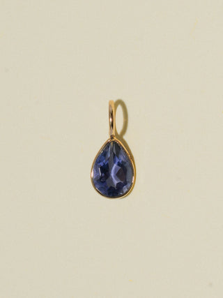 Off the Vine Iolite Teardrop Cut Charm in Yellow 14k Gold