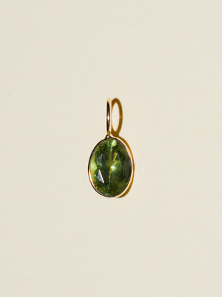 Mermaid Monty Apatite Oval Cut Charm in Yellow 14k Gold