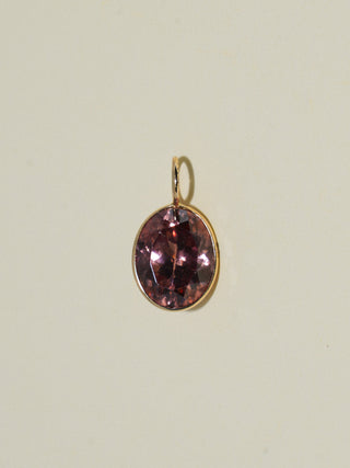 Puppy Paw Zircon Oval Cut Charm in Yellow 14k Gold
