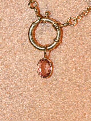 Kitty Kat Pink Tourmaline Oval Cut Charm in Yellow 14k Gold