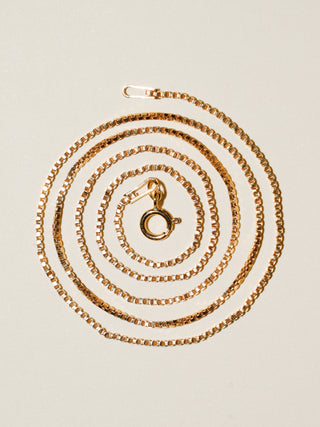 Bebe Necklace in 14k Gold Filled